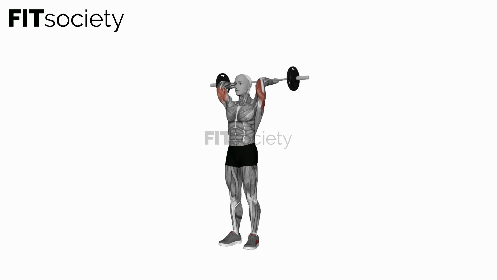 Barbell Standing Overhead Triceps Extension