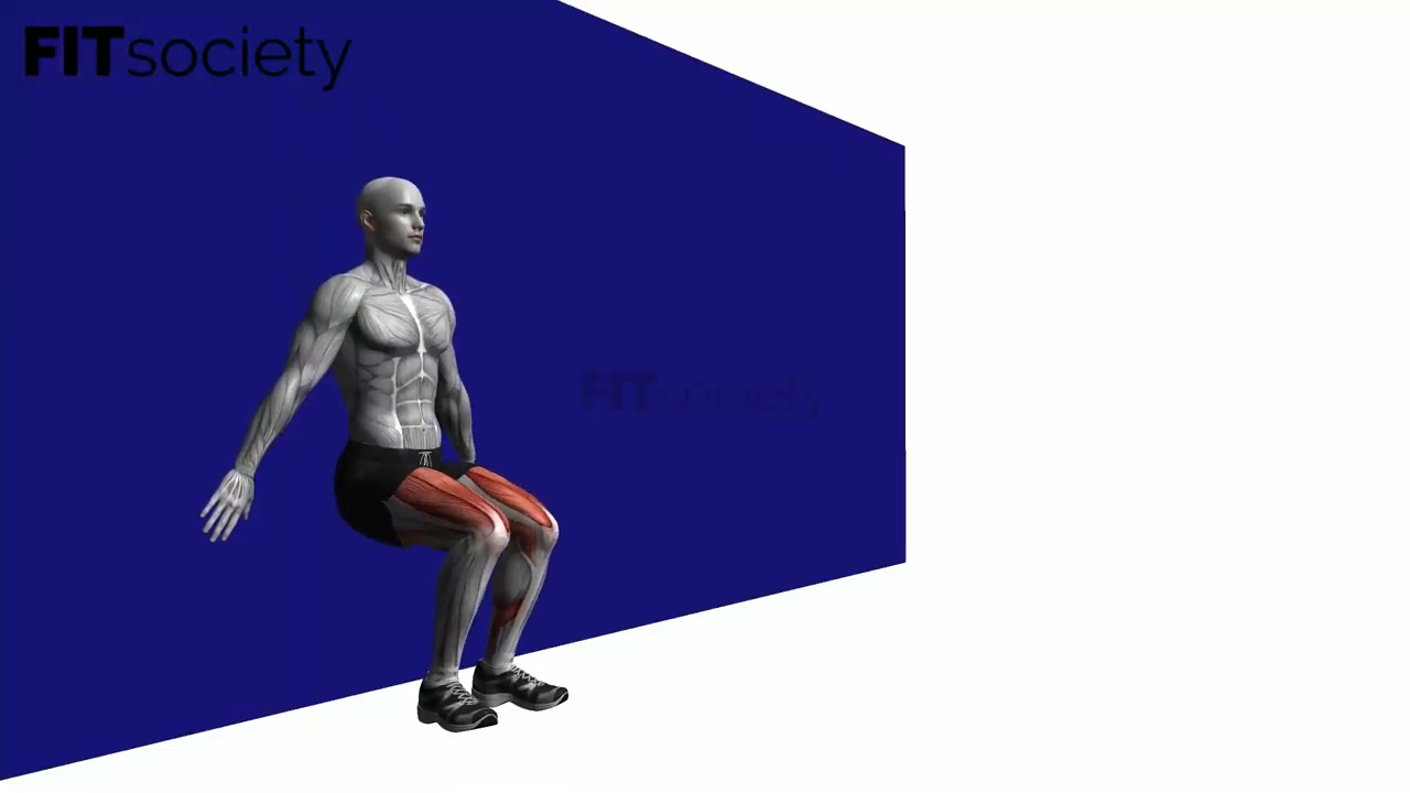 Wall Squat With Pause Bodyweight