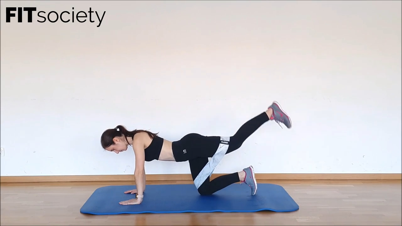 Extension de jambe quadrupède