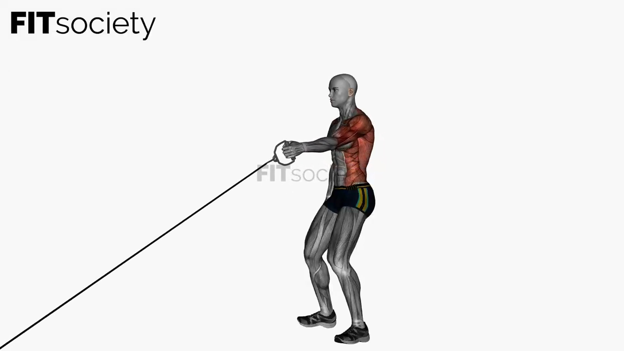 Single Arm Standing Low Cable Row