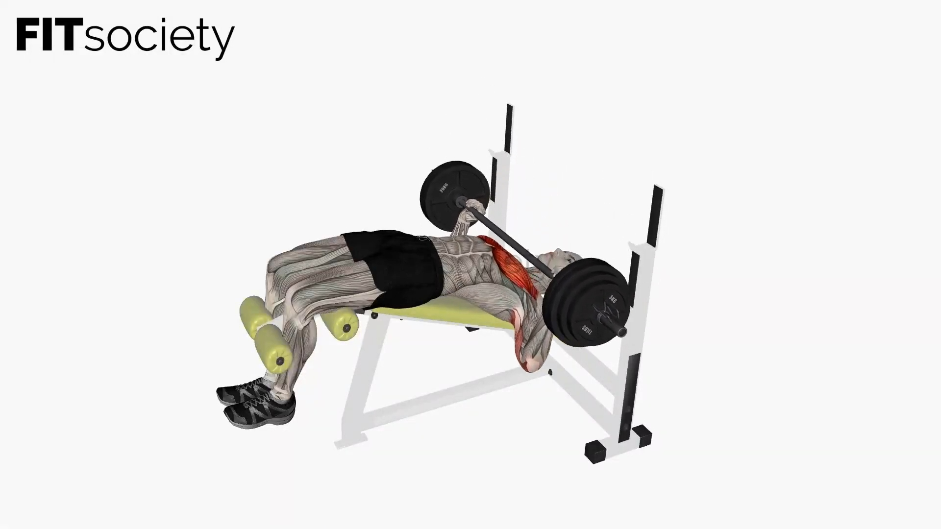 Decline Barbell Bench Press
