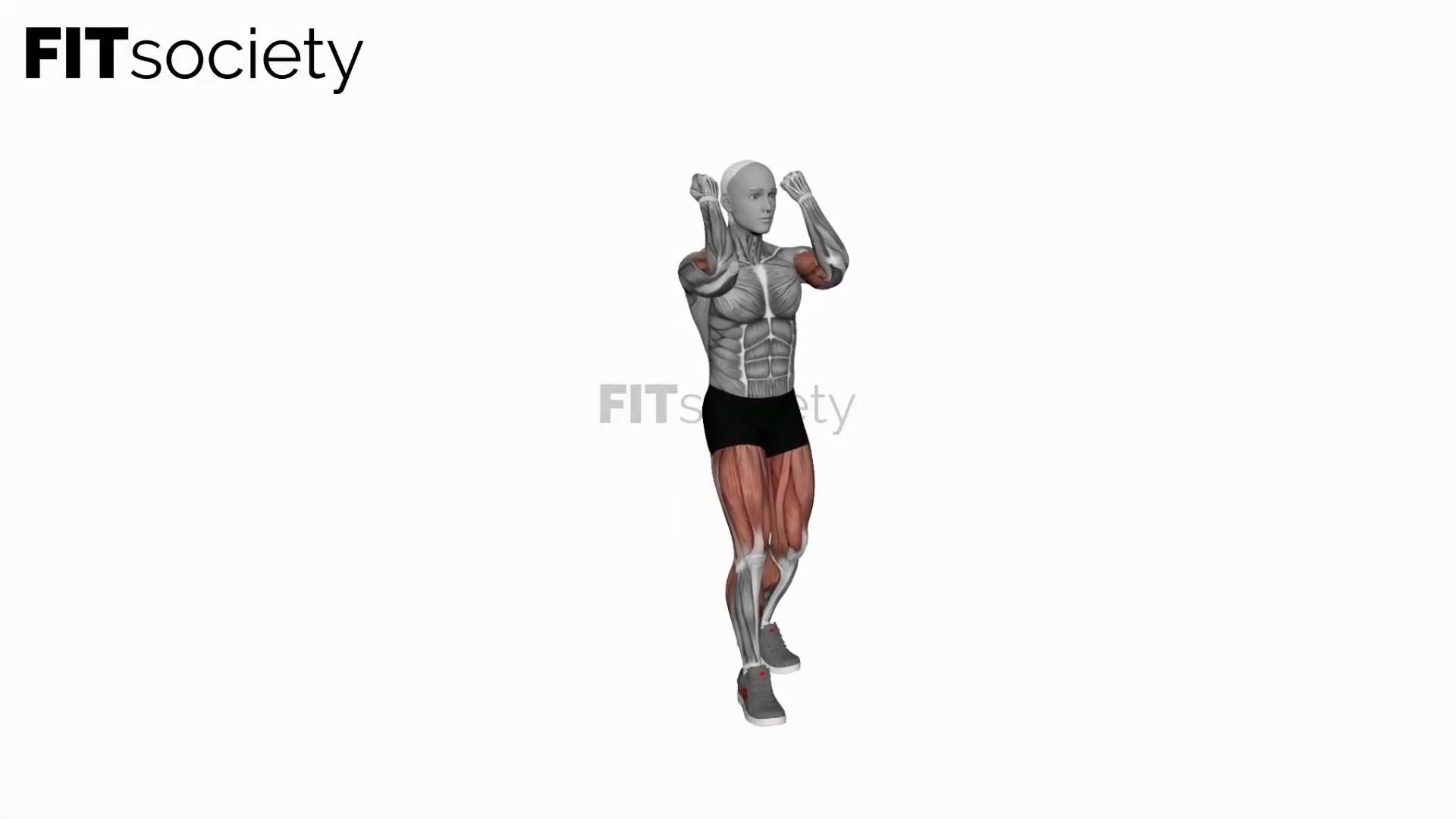 Biceps Curl Front Step