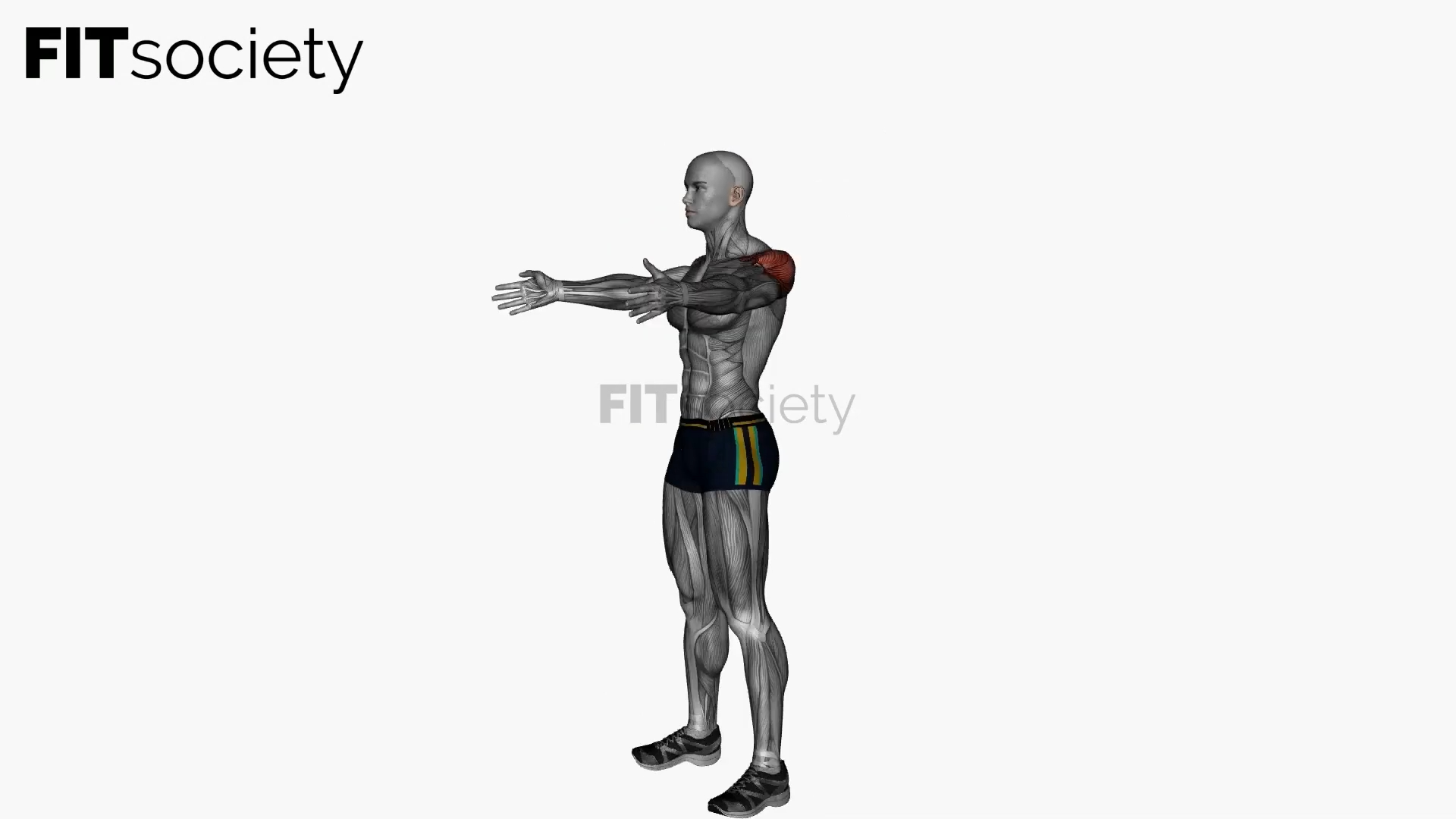 Standing Y Raise
