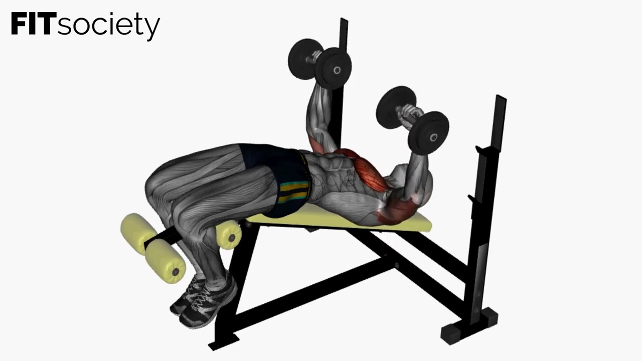 Dumbbell Chest Press Decline
