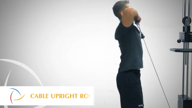 Cable Upright Row