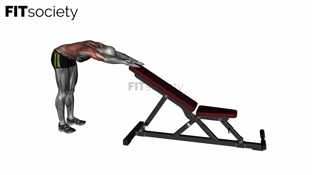 Dynamic Back Stretch