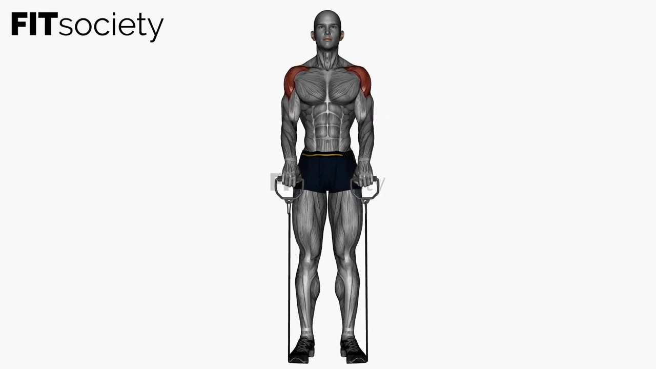 Upright Row with a Cable Resistance Band