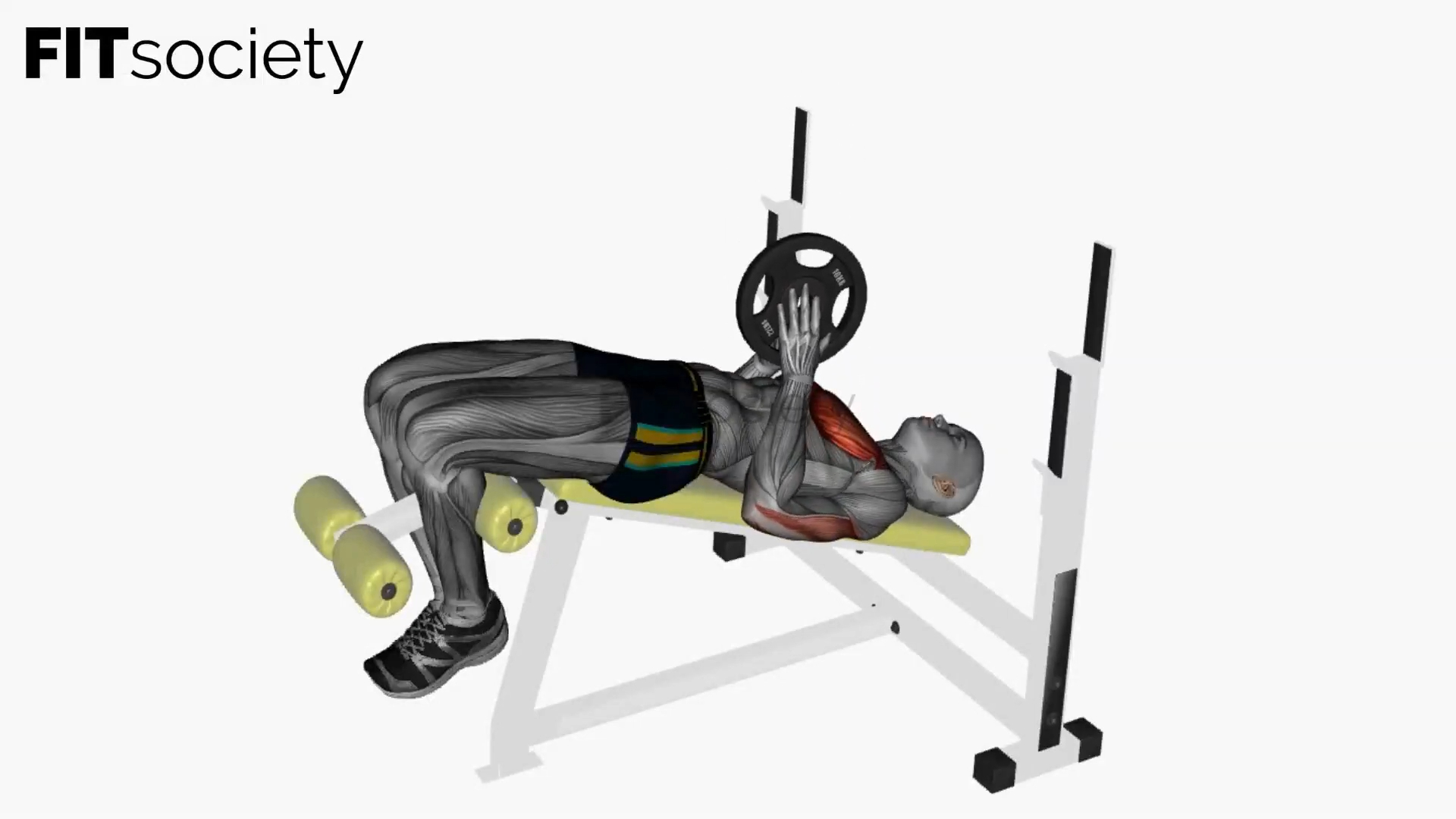 Svend Press Decline Bench