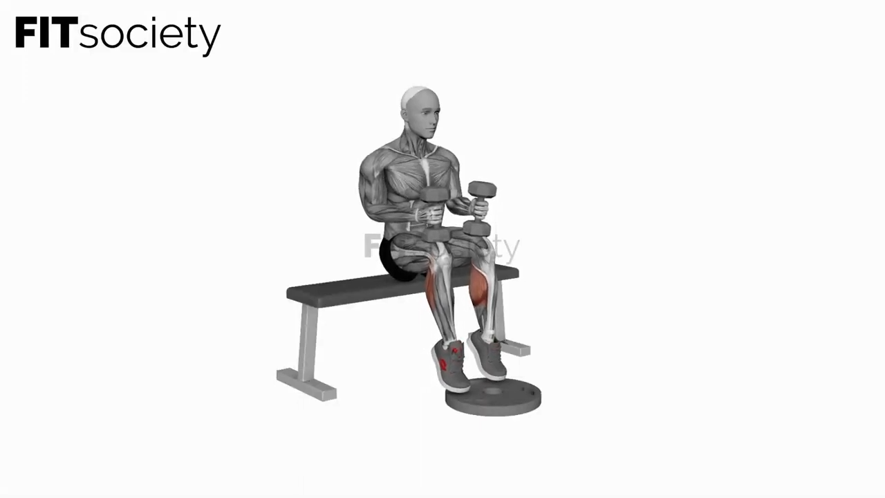 Dumbbell Seated Calf Raise