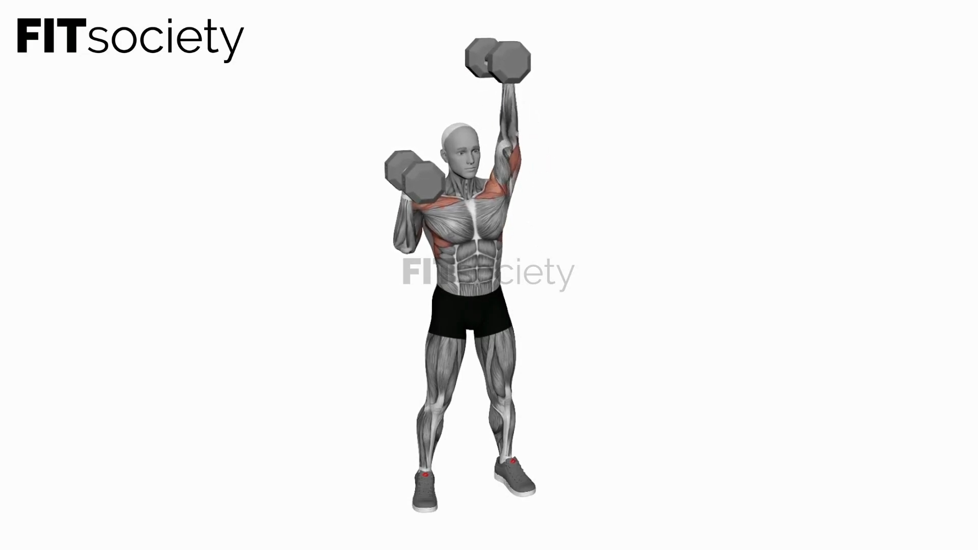 Dumbbell Standing Alternate Overhead Press