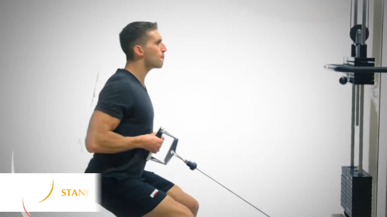Standing Cable Row