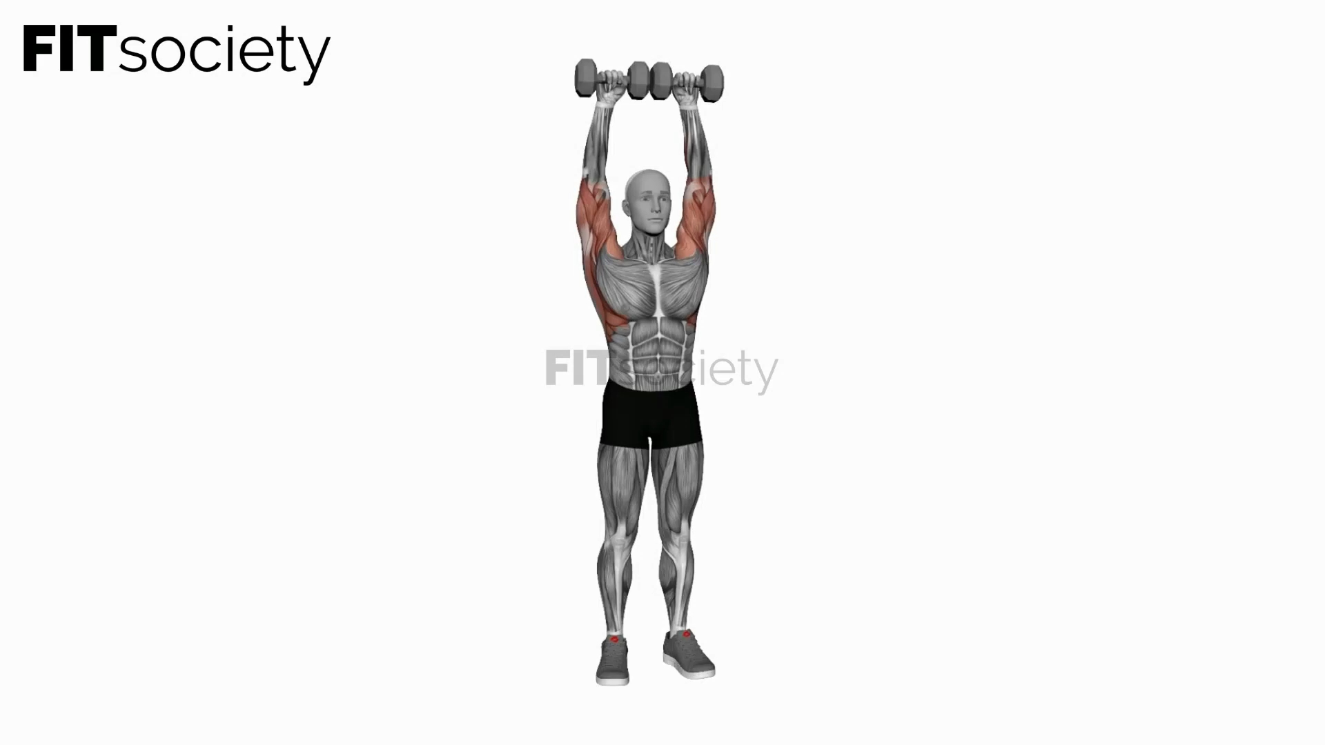 Dumbbell Cuban Press (Version 2)