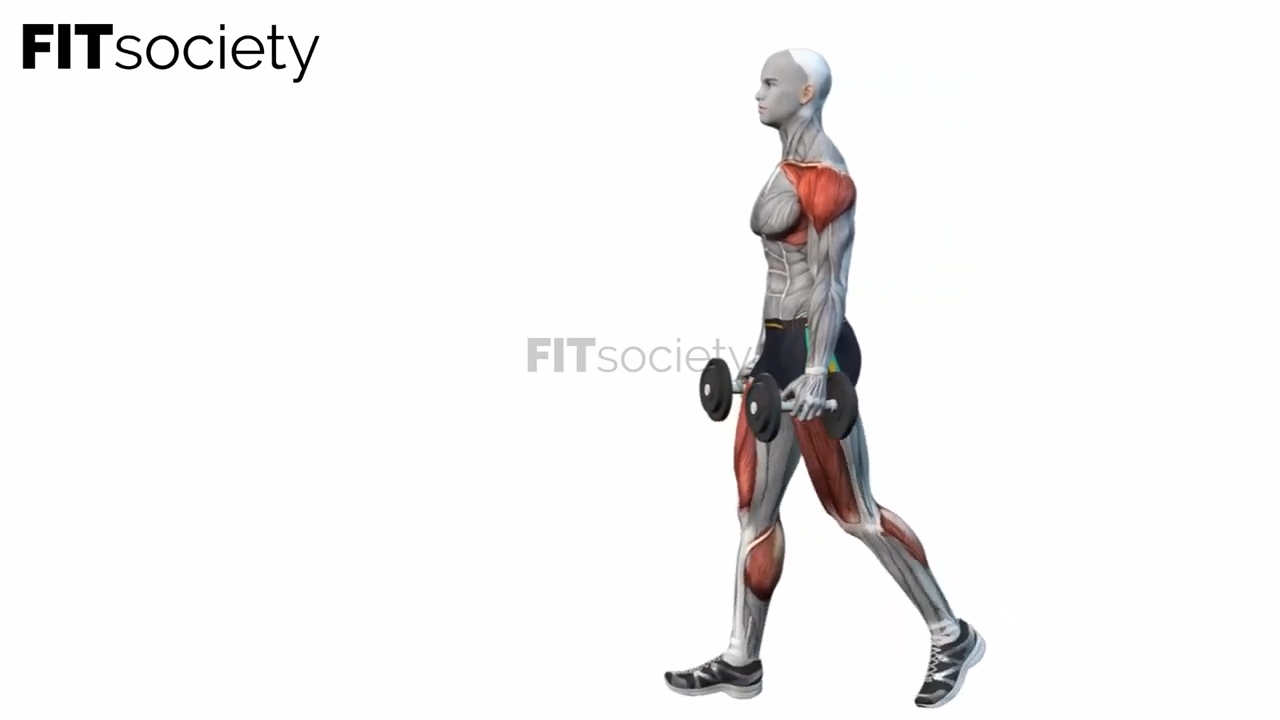 Dumbbell Farmer Walks