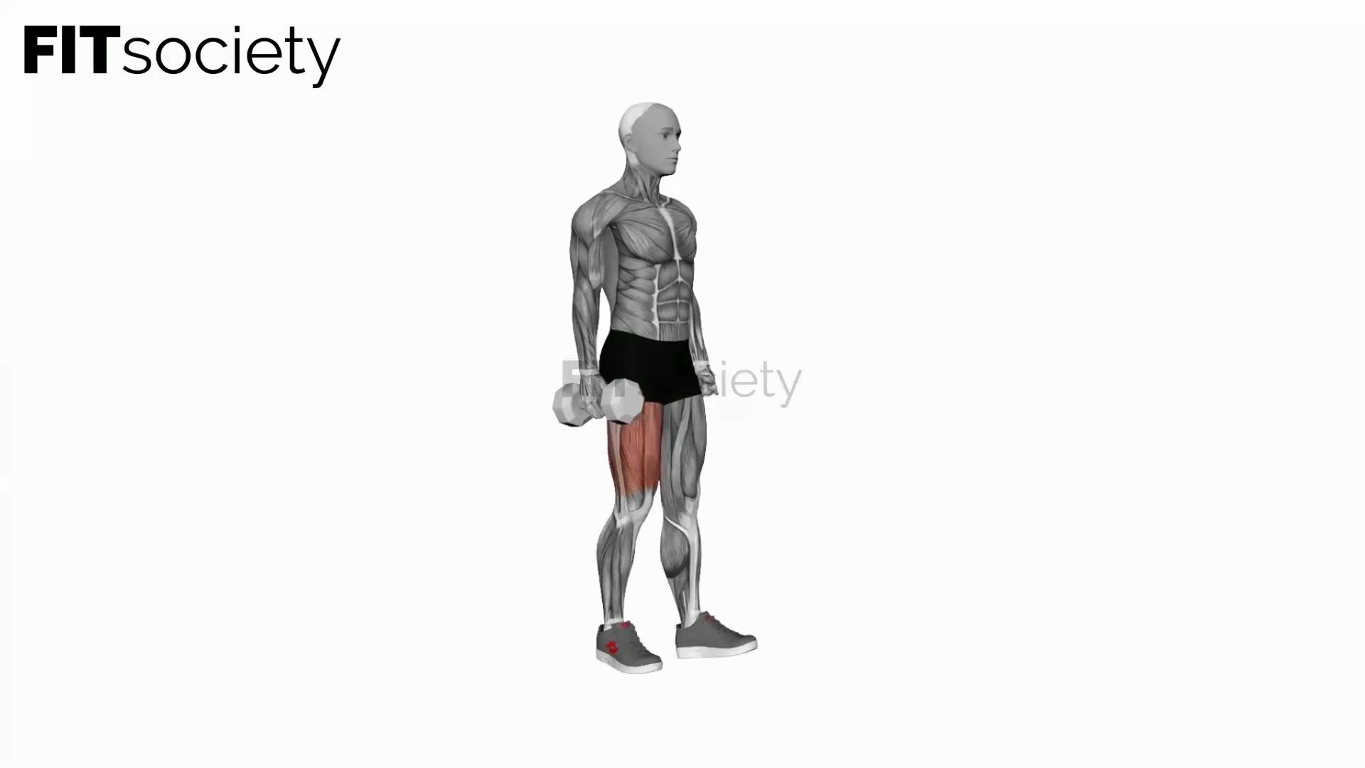 Dumbbell Single Leg Squat