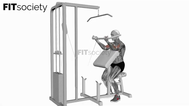 Cable Preacher Curl