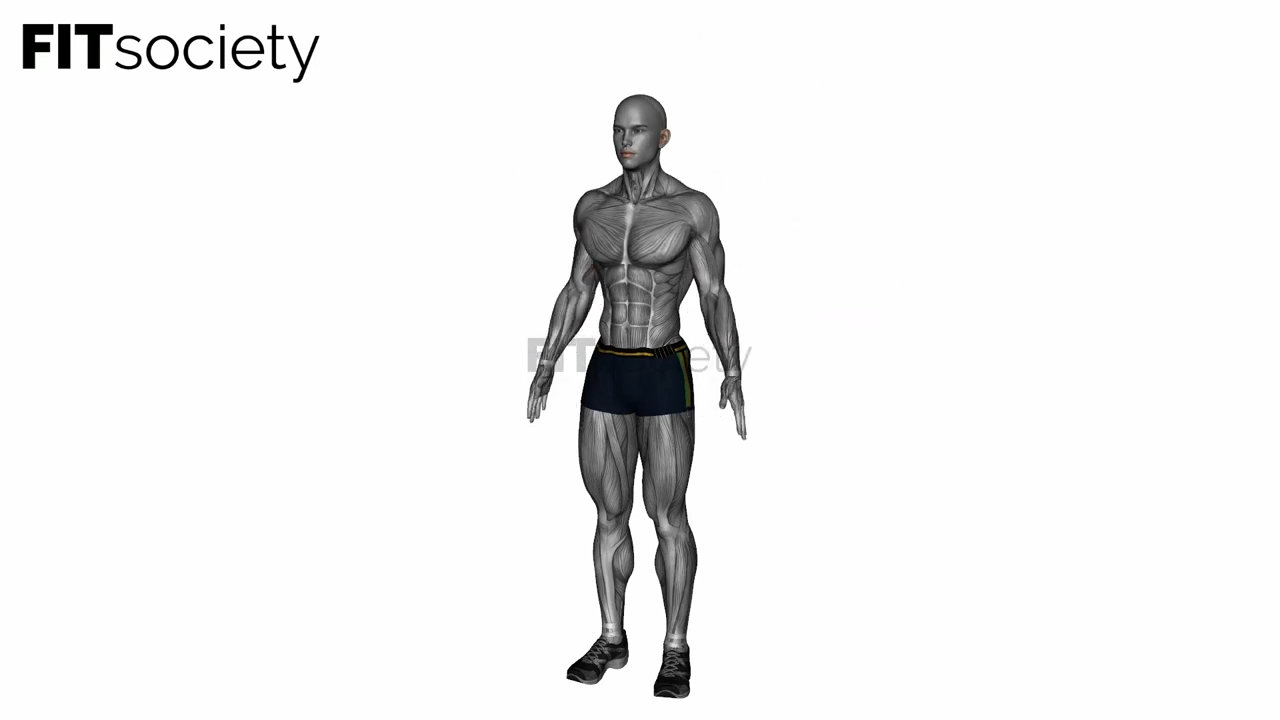 Étirement des triceps au-dessus de la tête avec angle latéral
