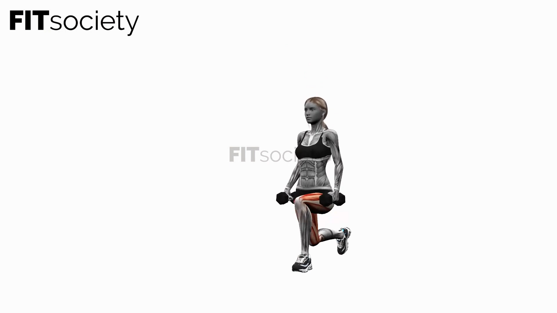 Dumbbell Reverse Lunge On The Spot