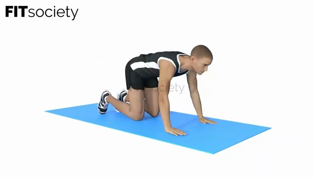 Donkey Kicks