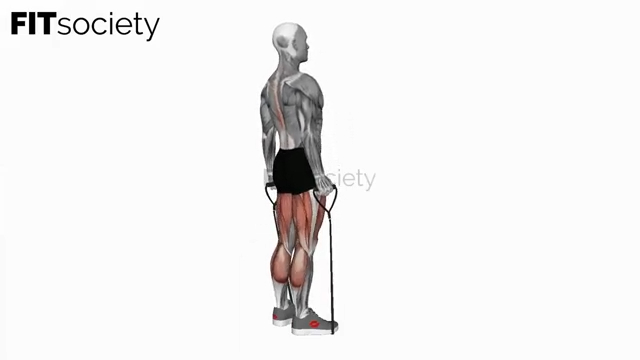 Band Deadlift
