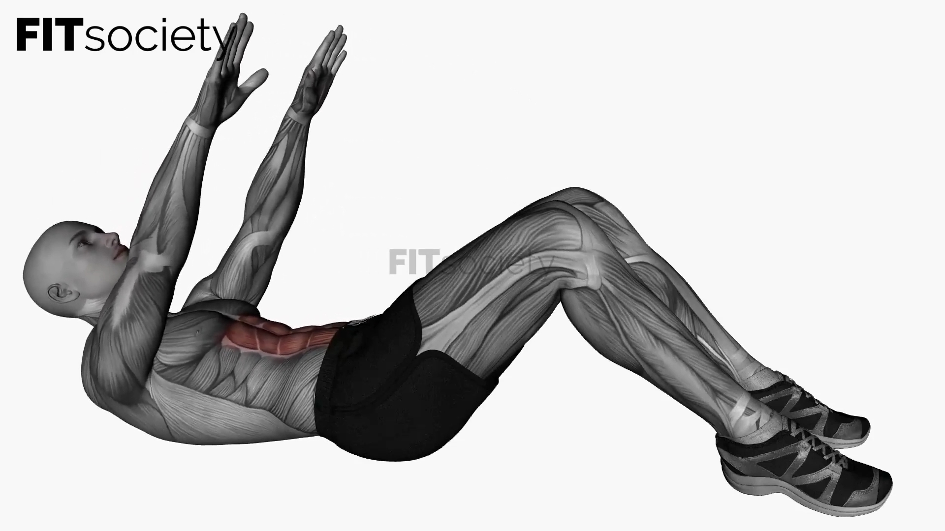 Abdominal Crunches