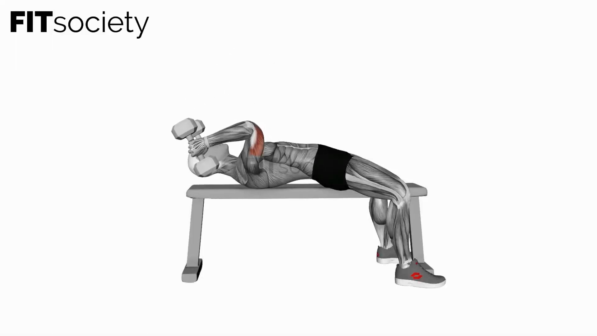 Dumbbell Lying Triceps Extension