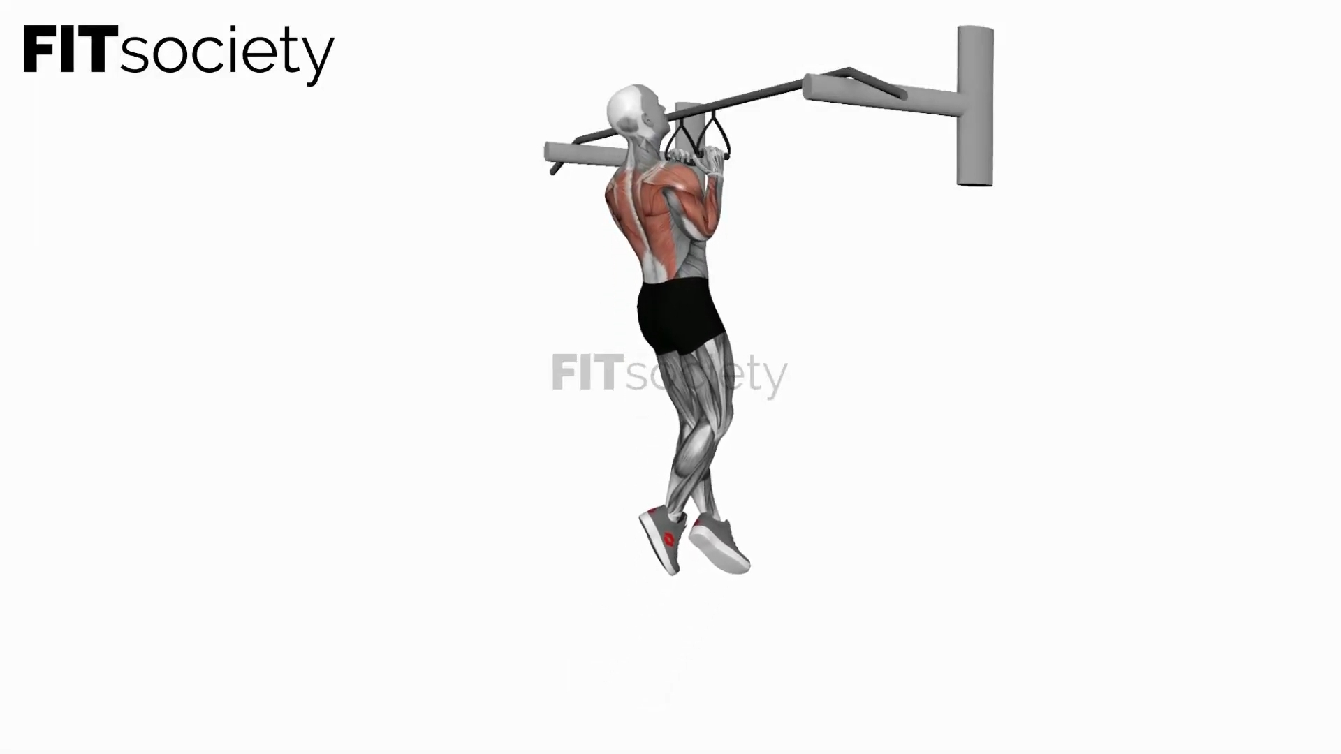 Chin-Ups (Narrow Parallel Grip)