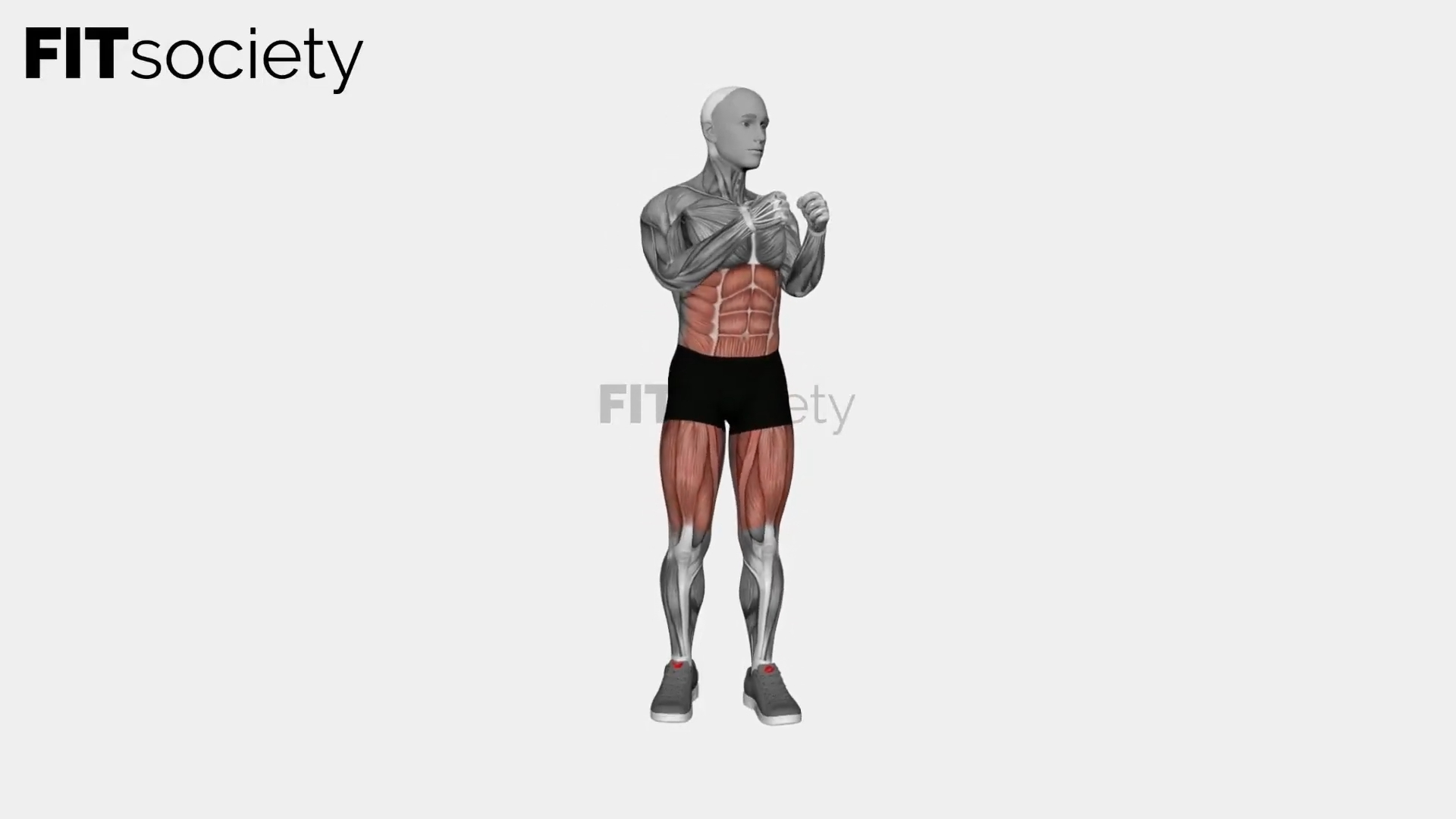 Arm Rotation Knee Lift