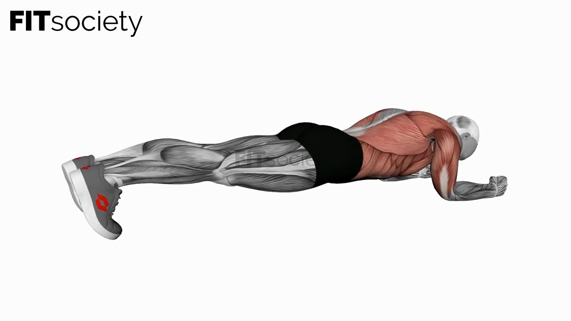 Body Saw Plank