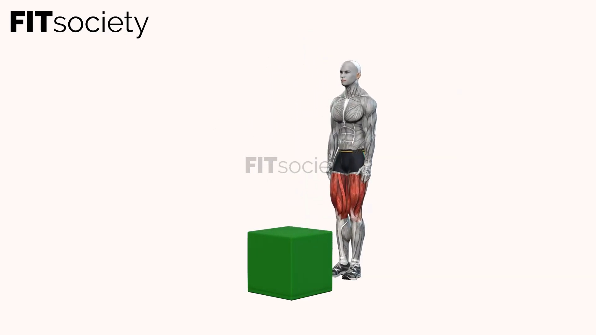 Box-Jump-Kniebeugen
