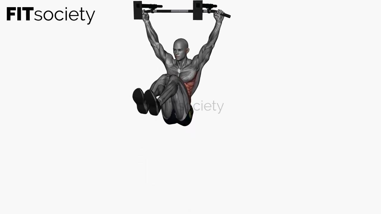 Hanging Knee Raises