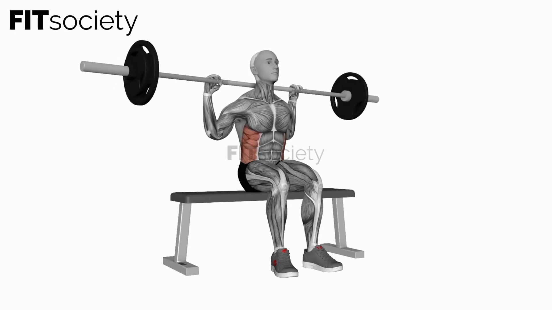 Barbell Seated Twist