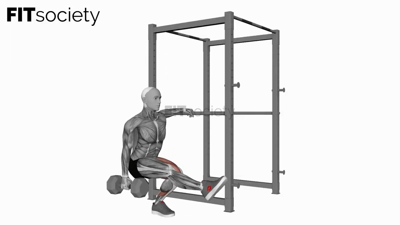 Dumbbell Single Leg Squat With Support (Pistol)