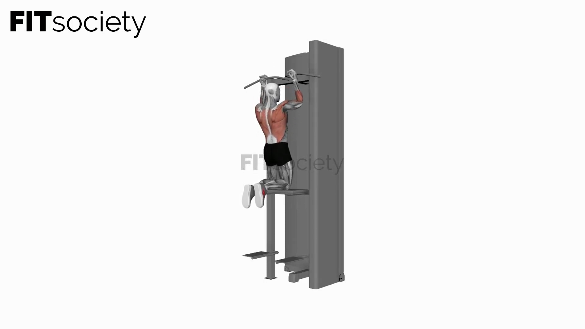 Assisted Parallel Close-Grip Pull-Up