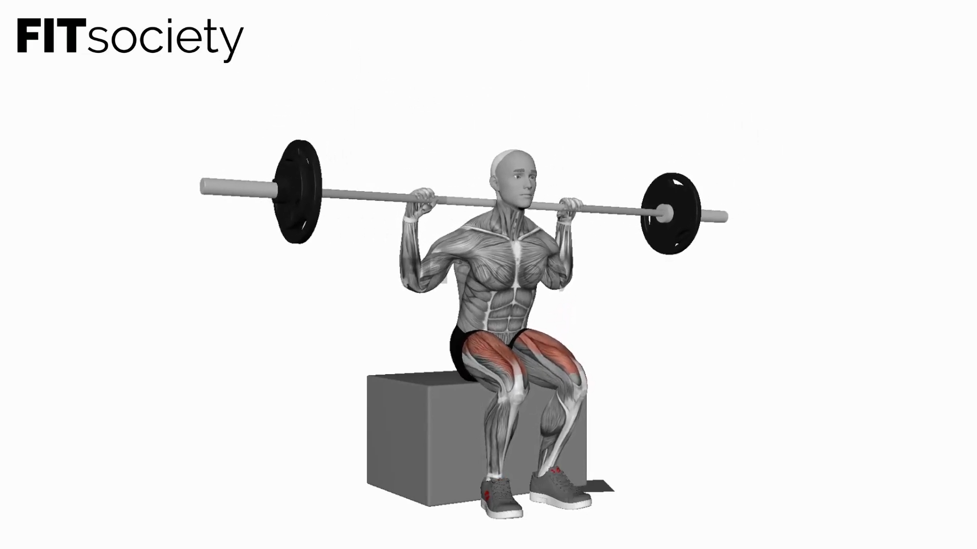 Squat avec barre sur box