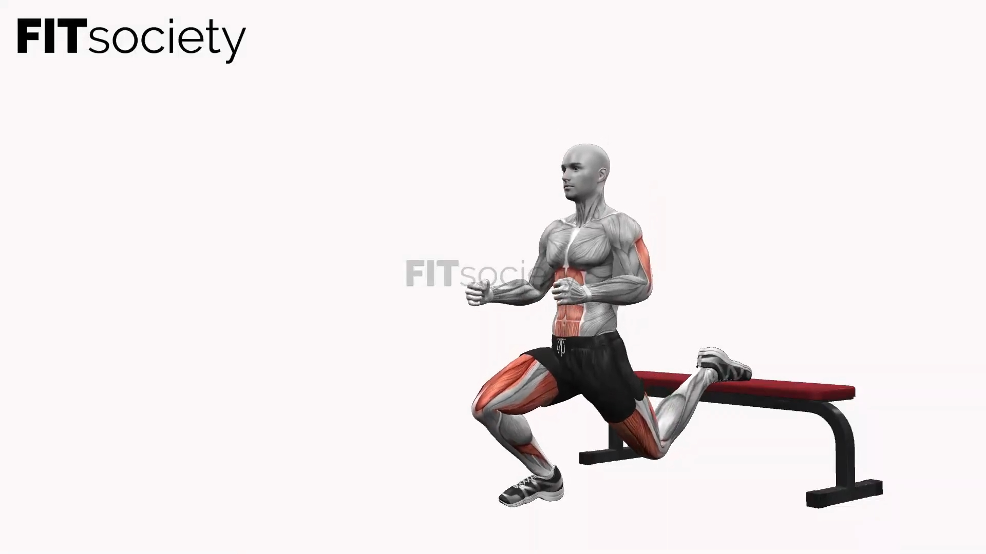 Bench Bulgarian Split Squats Right
