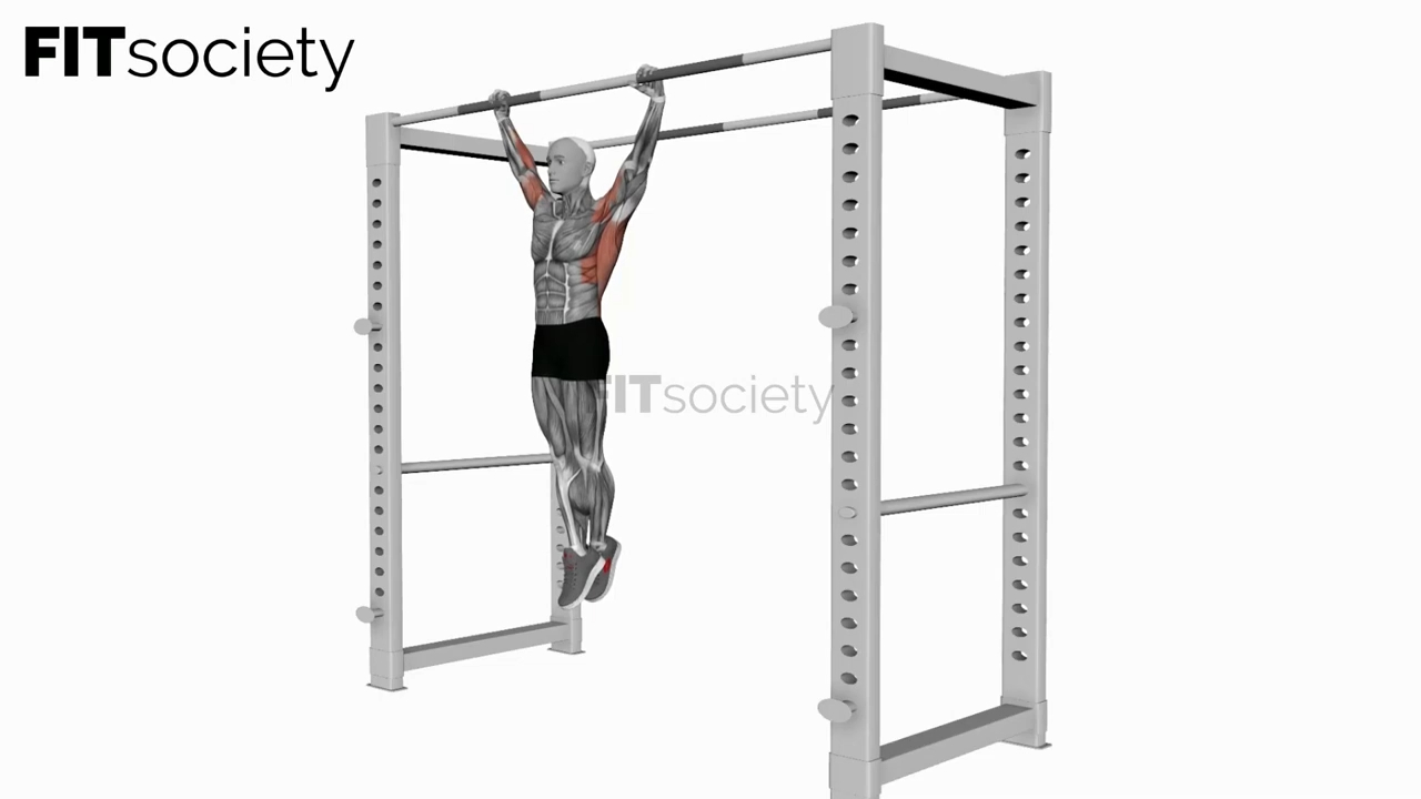 Dead Hang Stretch
