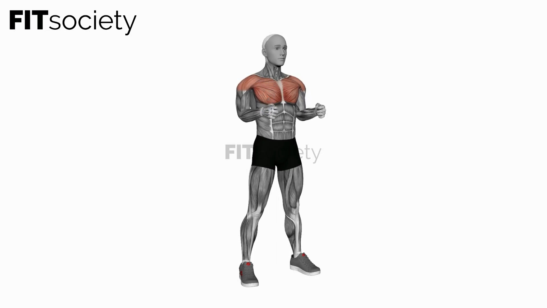 Chest Raise And Rotate