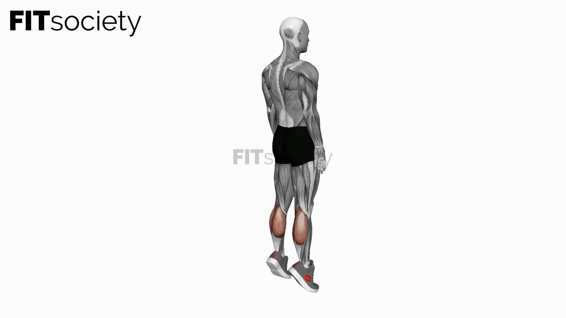 Bodyweight Standing Calf Raise