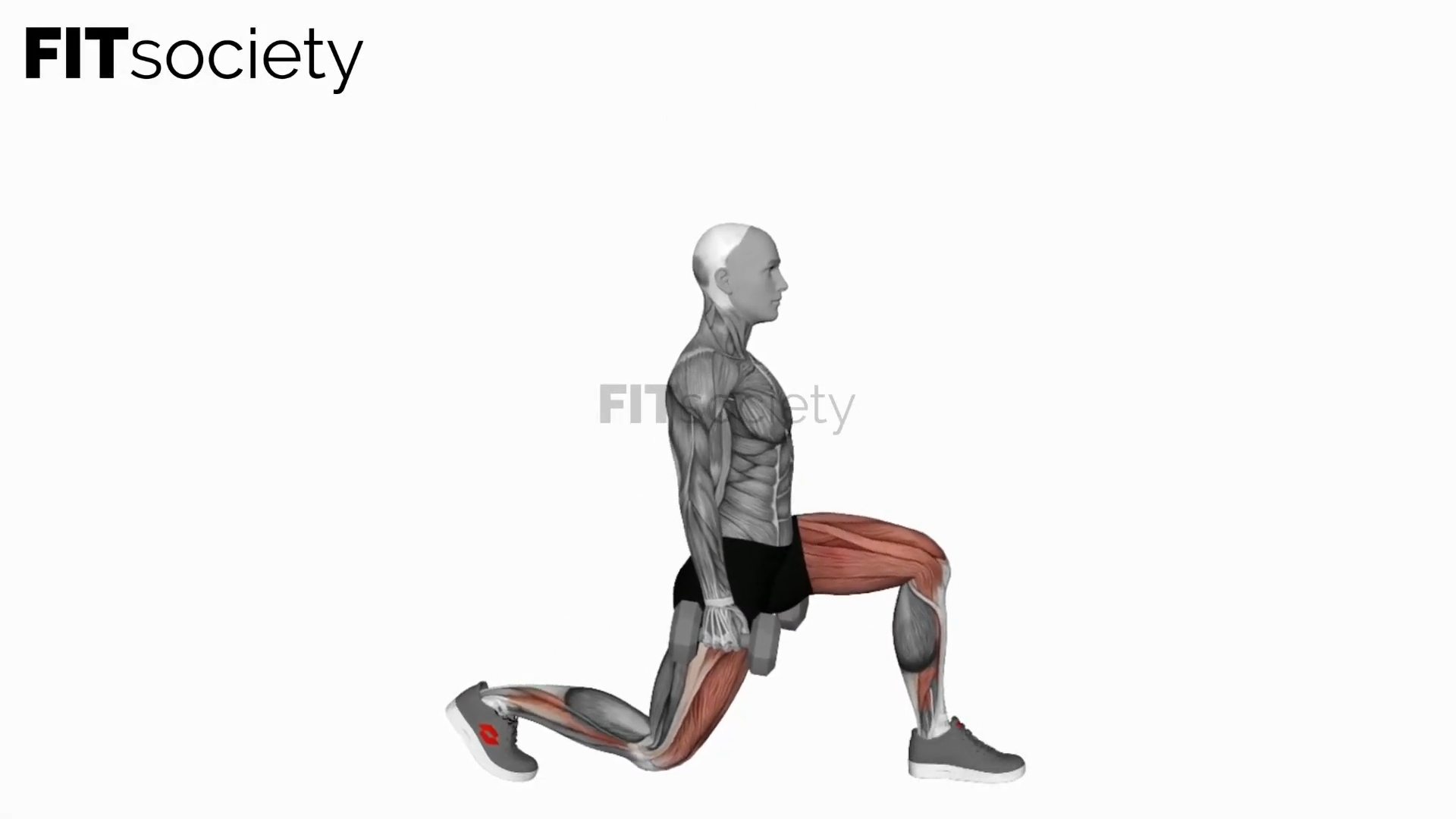 Dumbbell Static Lunge