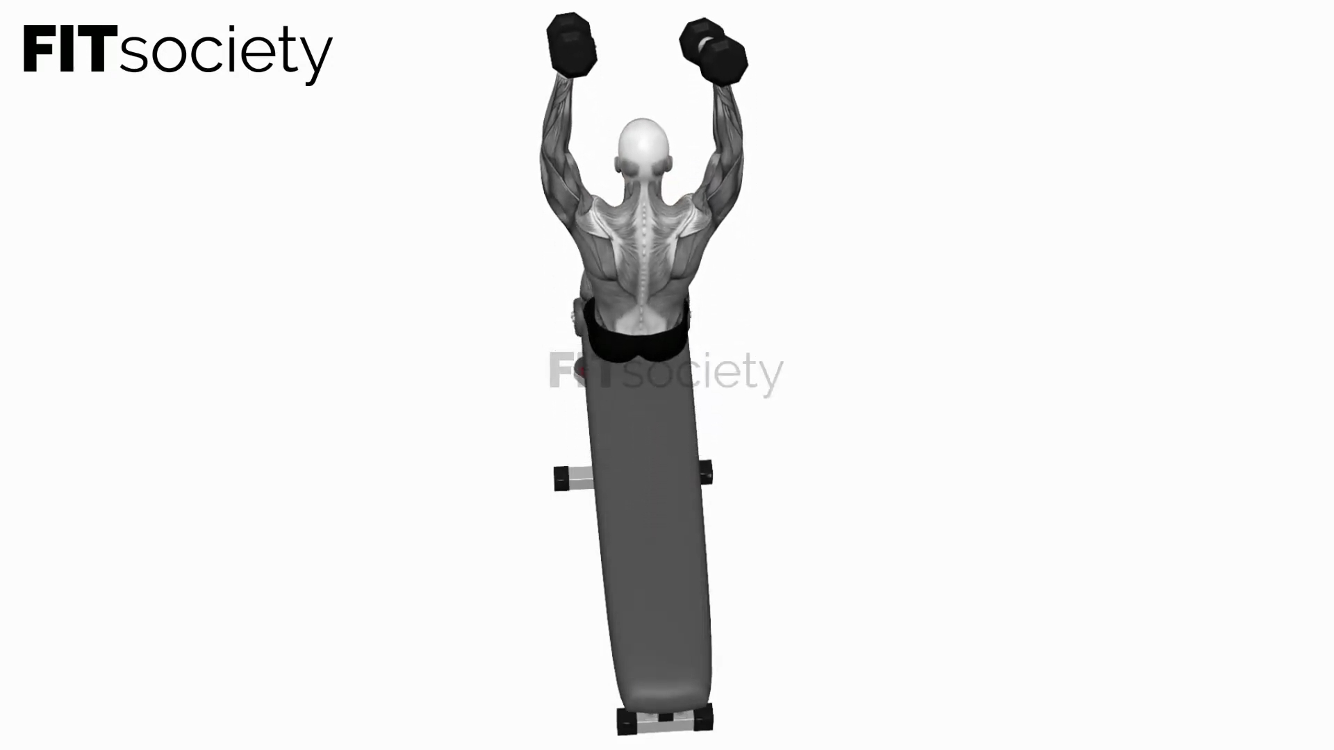 Dumbbell Decline Overhead Sit-Up