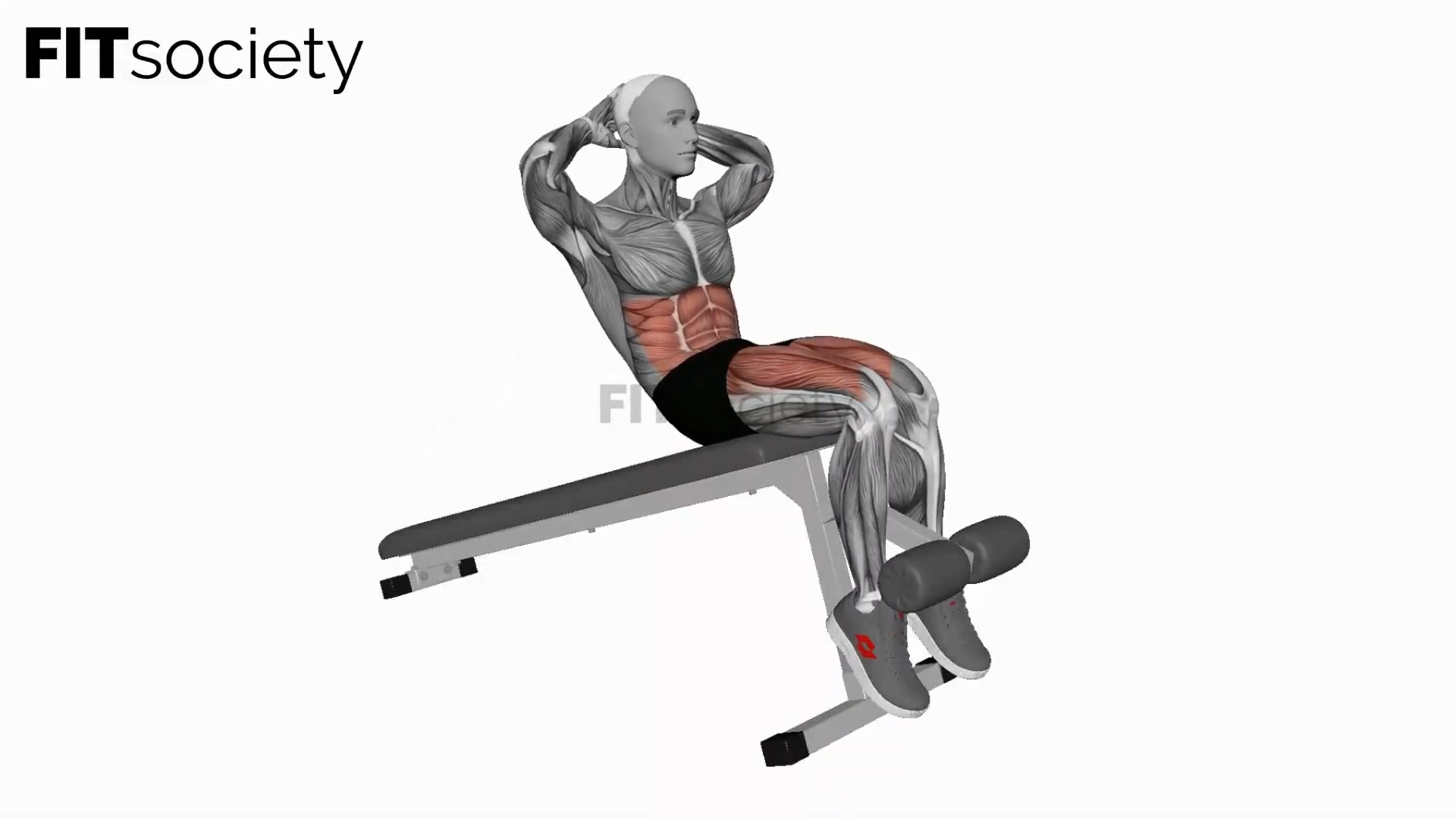 Decline Sit-Up