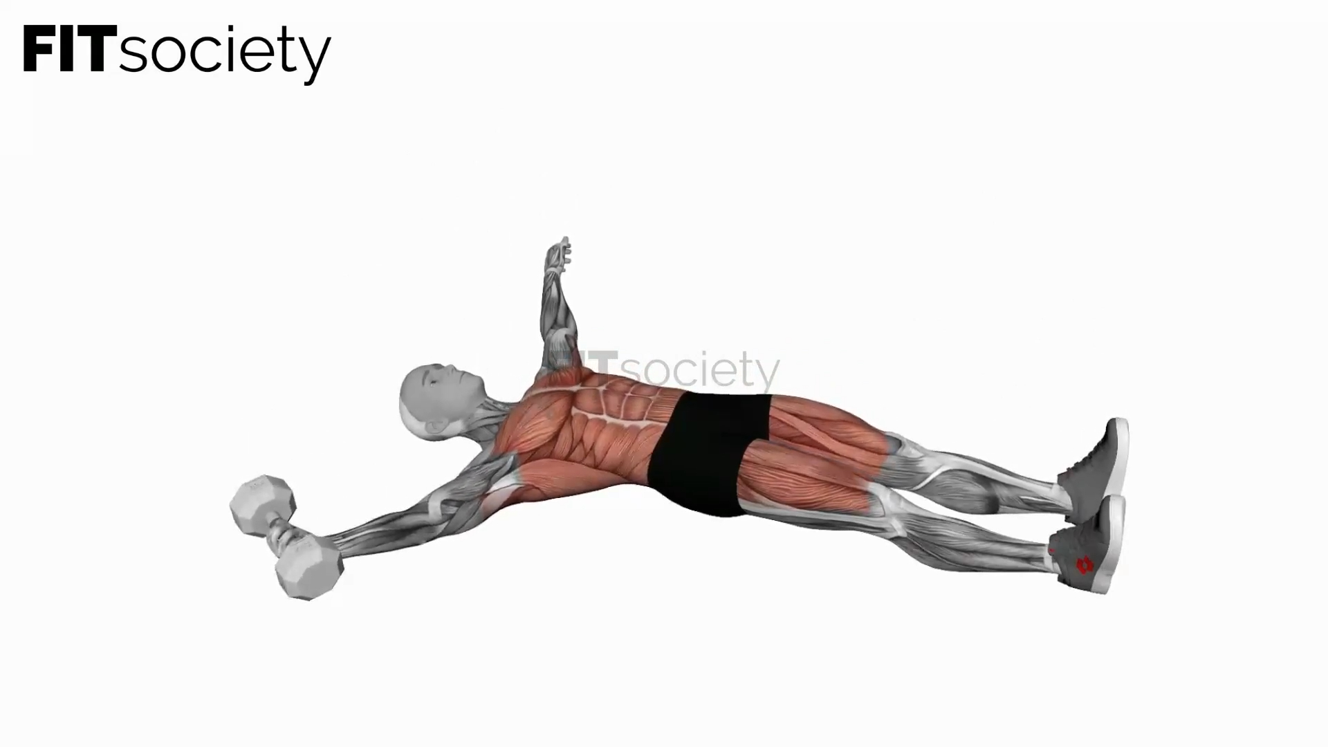 Dumbbell Single Arm Starfish Crunch