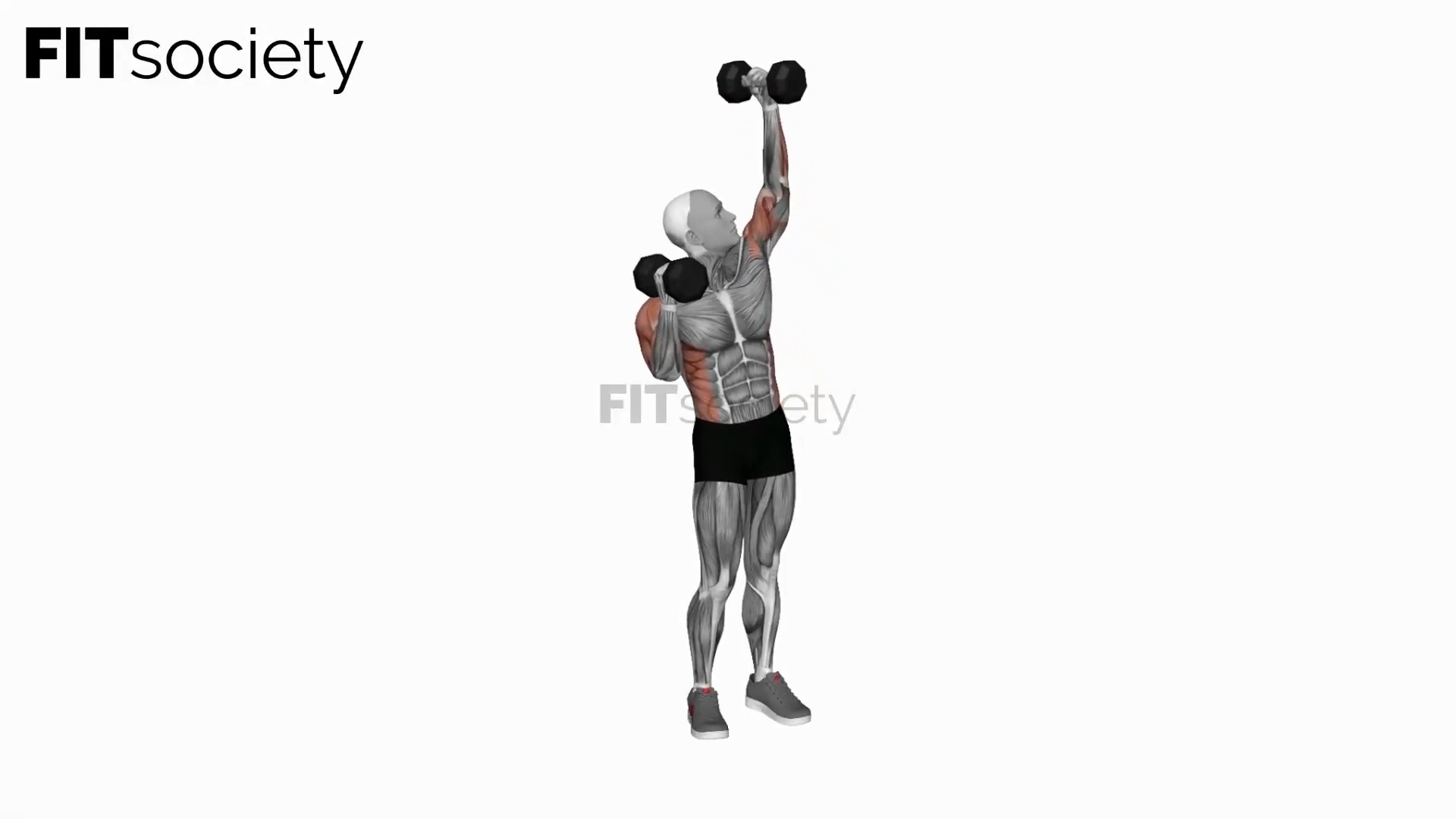 Dumbbell Alternate Side Press