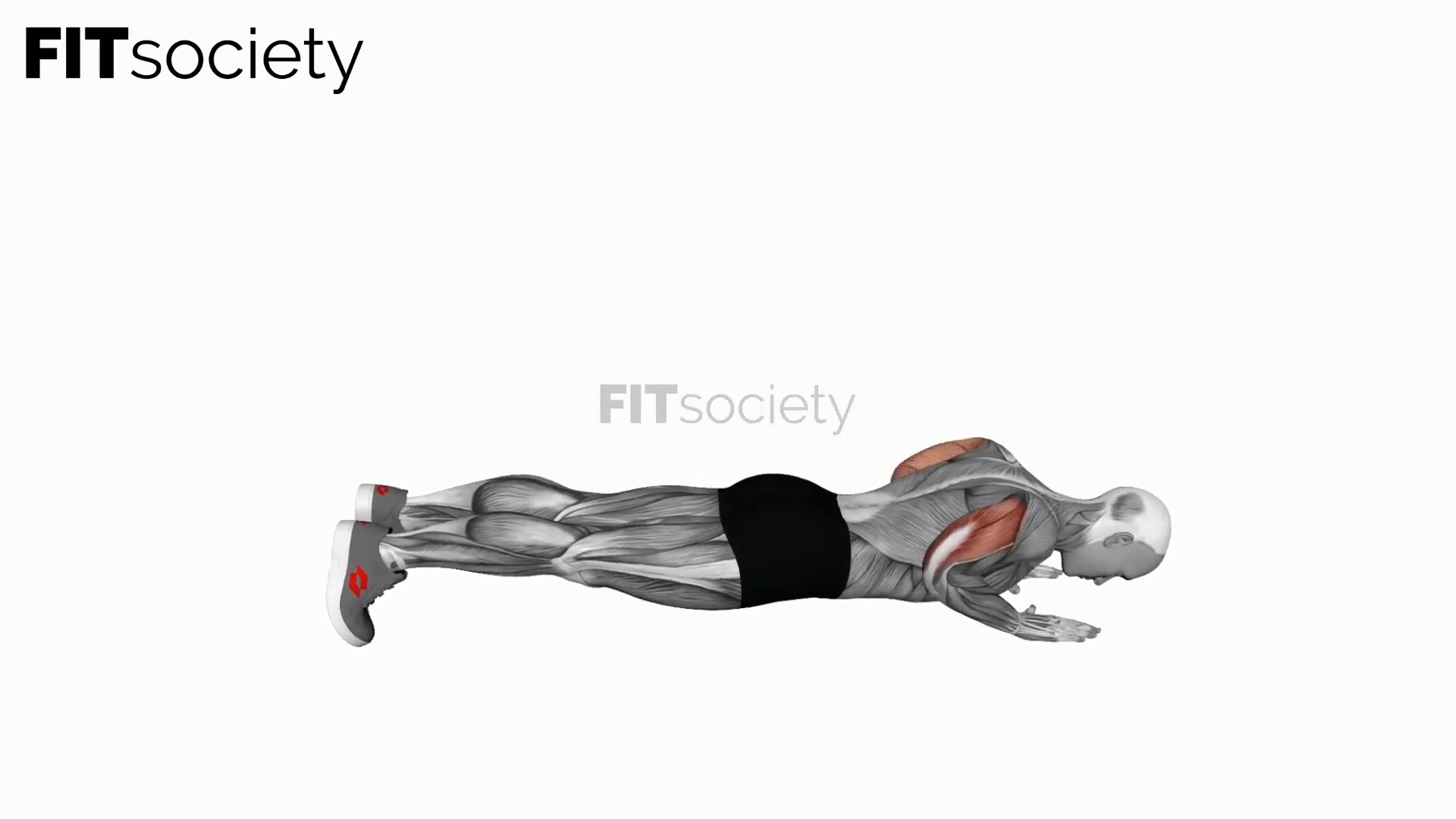Body-Up