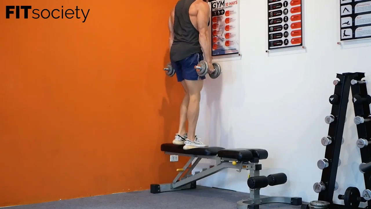 Dumbbell Step Ups