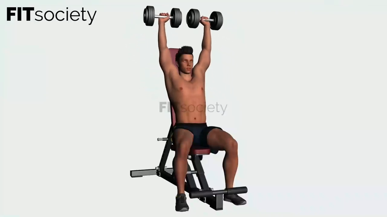 Seated Overhead Press