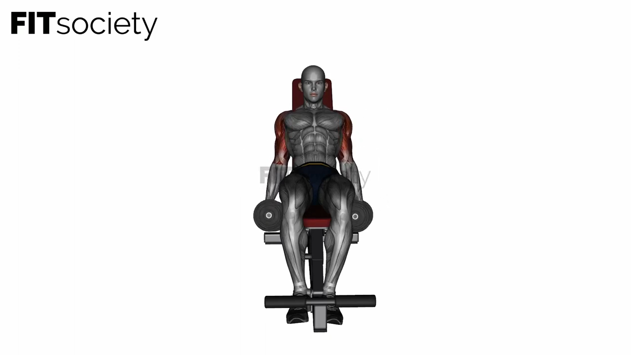 Incline Dumbbell Front Raise