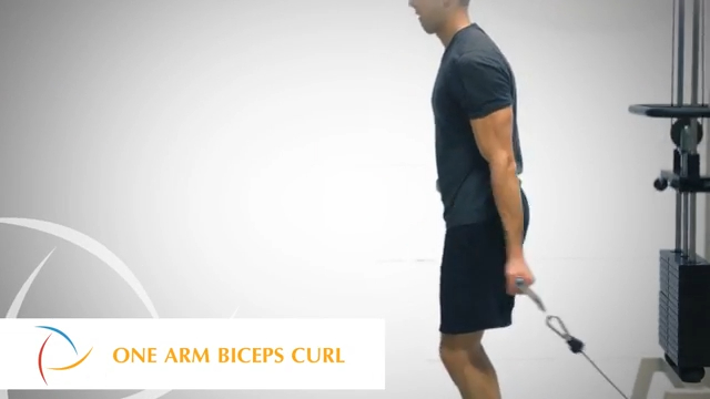 One-Arm Biceps Curl