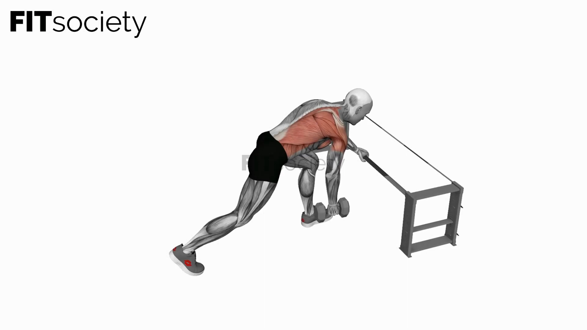 Dumbbell One-Arm Row (Rack Support)
