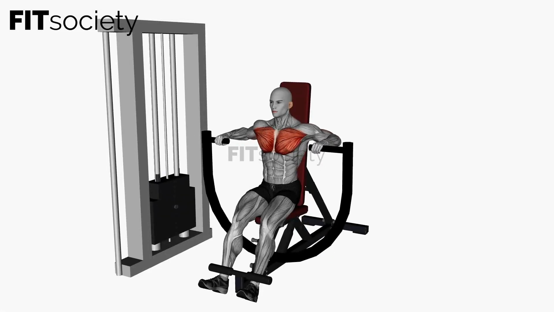 Machine Chest Press Flat